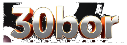 30bor logo
